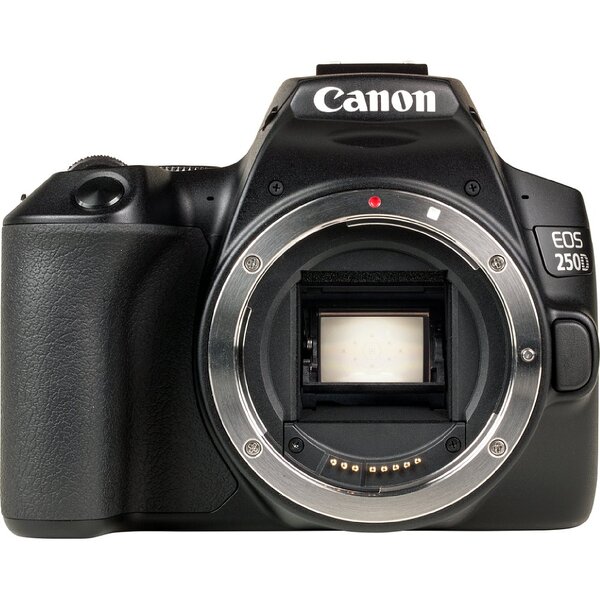 Canon EOS 250D im - Vergleichstest digitalkamera.de Meldung 